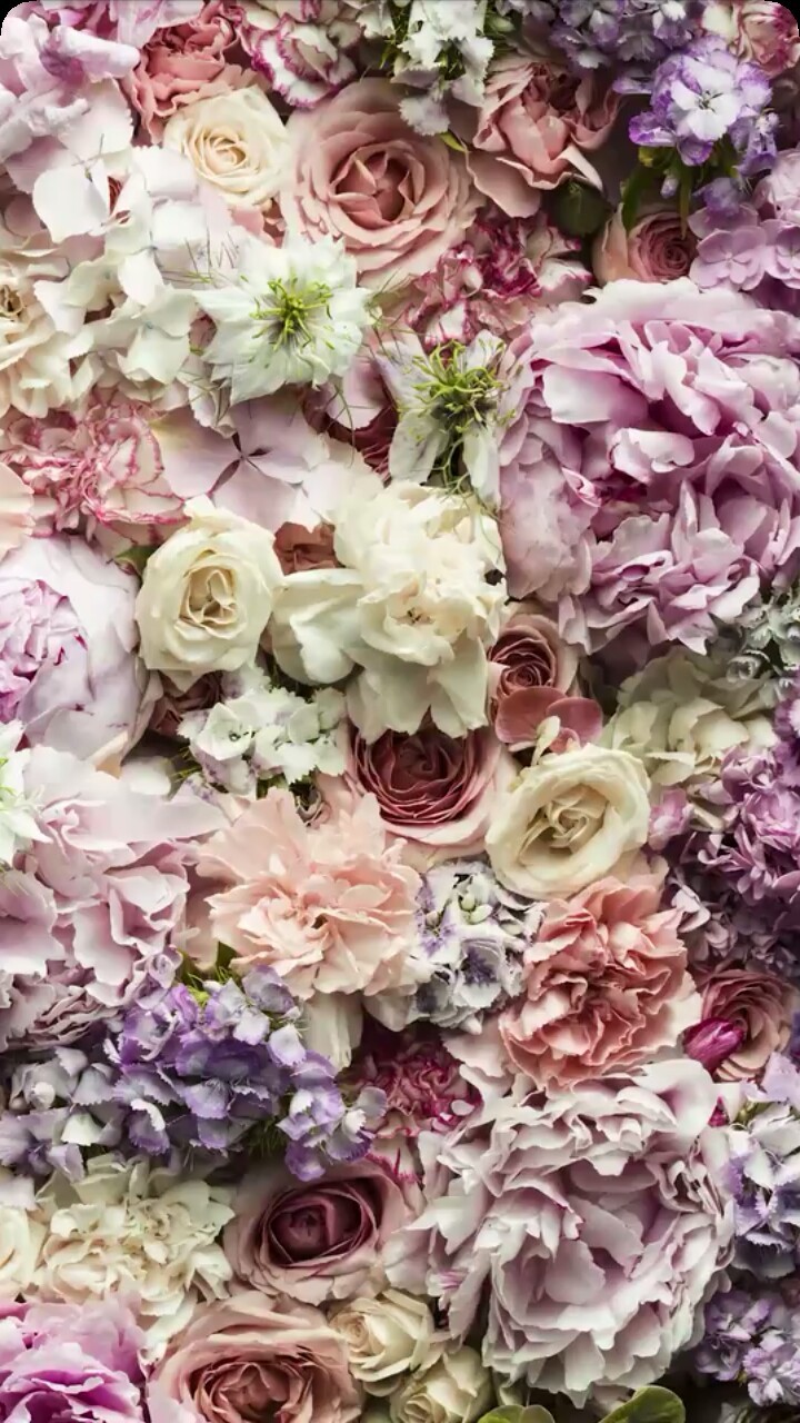 fond d'écran fleur iphone,fleur,bouquet,fleurs coupées,arrangement floral,lilas