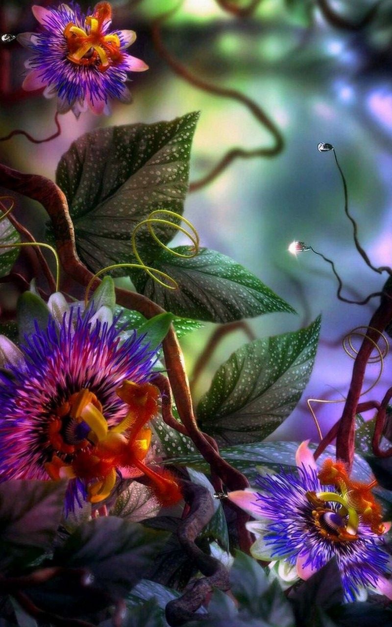 fond d'écran fleur iphone,fleur,plante,violet,plante à fleurs,pétale