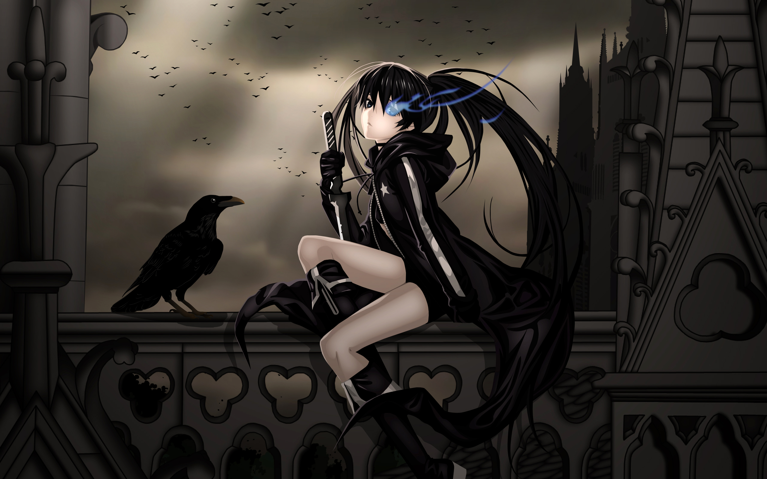 anime girl wallpaper,raven,raven,crow,crow like bird,illustration