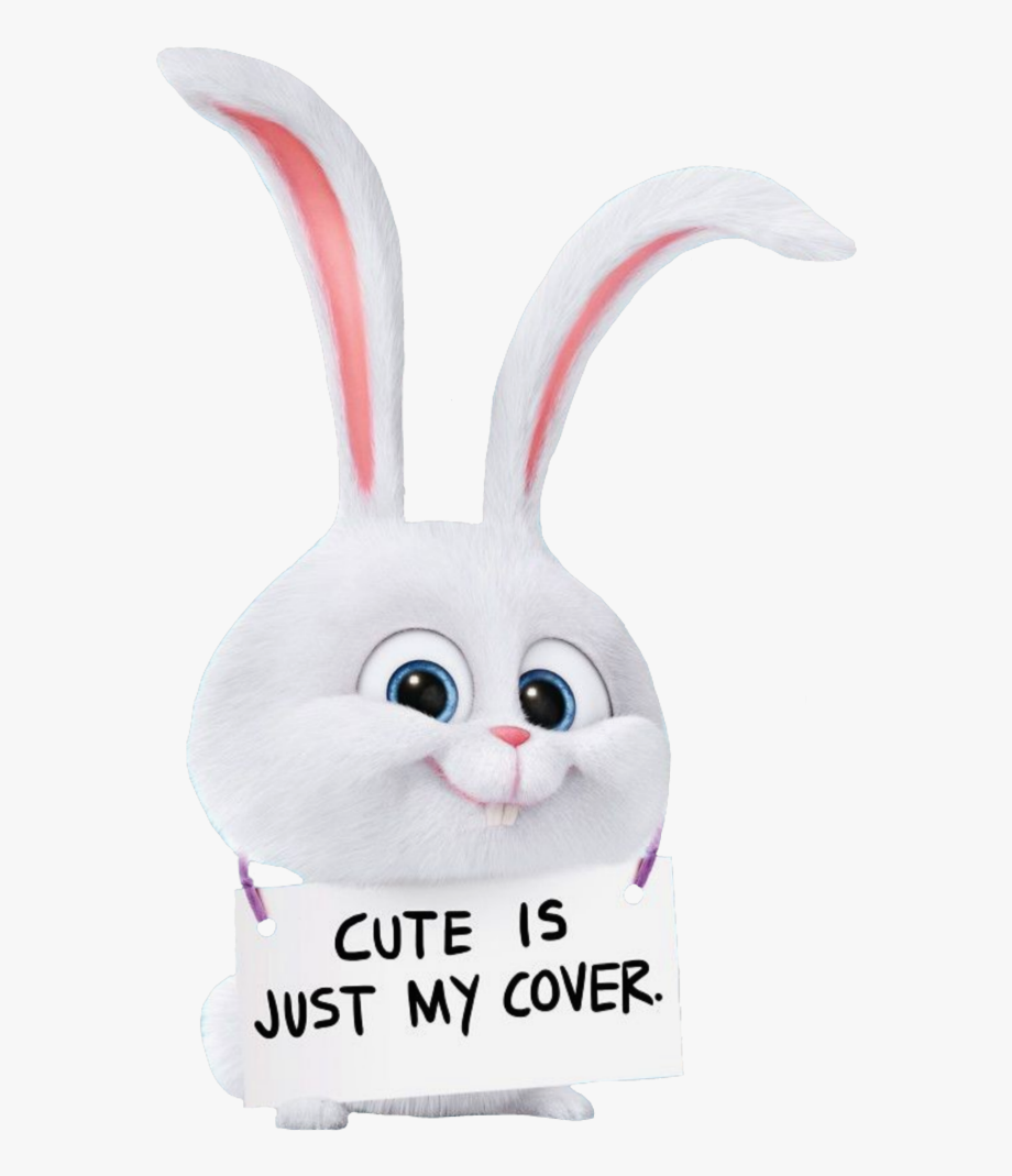 cute iphone wallpapers,rabbit,rabbits and hares,cartoon,font,easter bunny