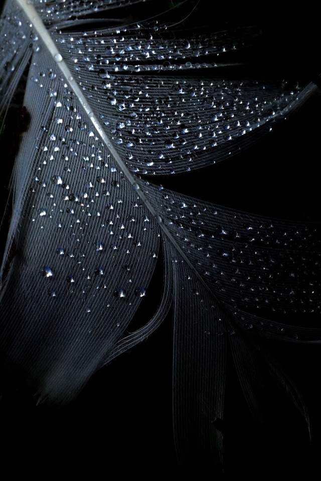 fondos de pantalla oscuros hd,negro,agua,en blanco y negro,oscuridad,fotografía monocroma