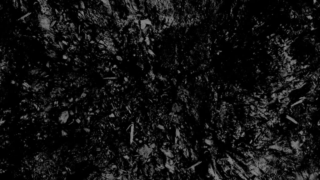 fondos de pantalla oscuros hd,negro,naturaleza,en blanco y negro,fotografía monocroma,monocromo