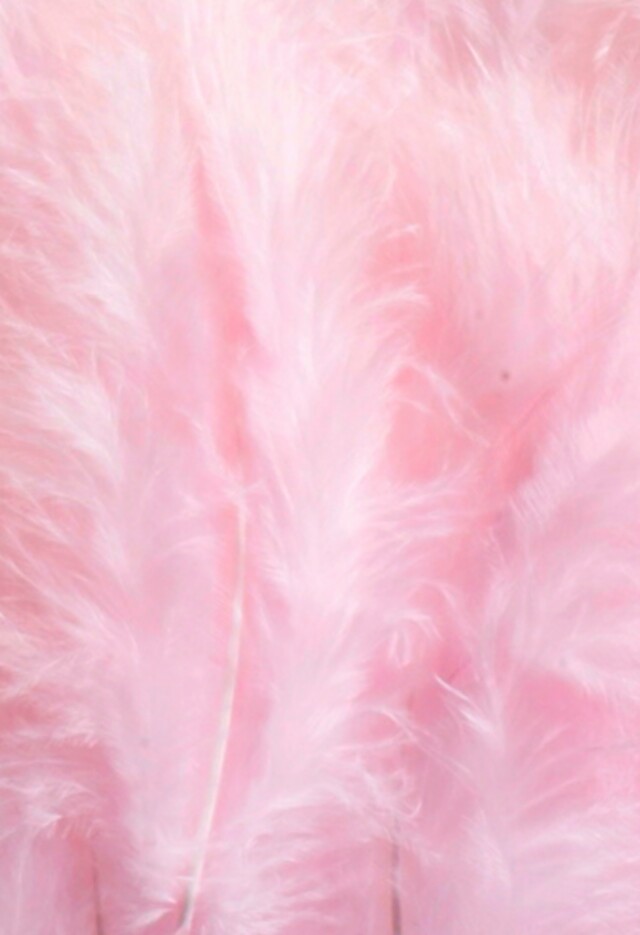 ピンクのiphoneの壁紙,ピンク,毛皮,綿あめ,フェザー,桃