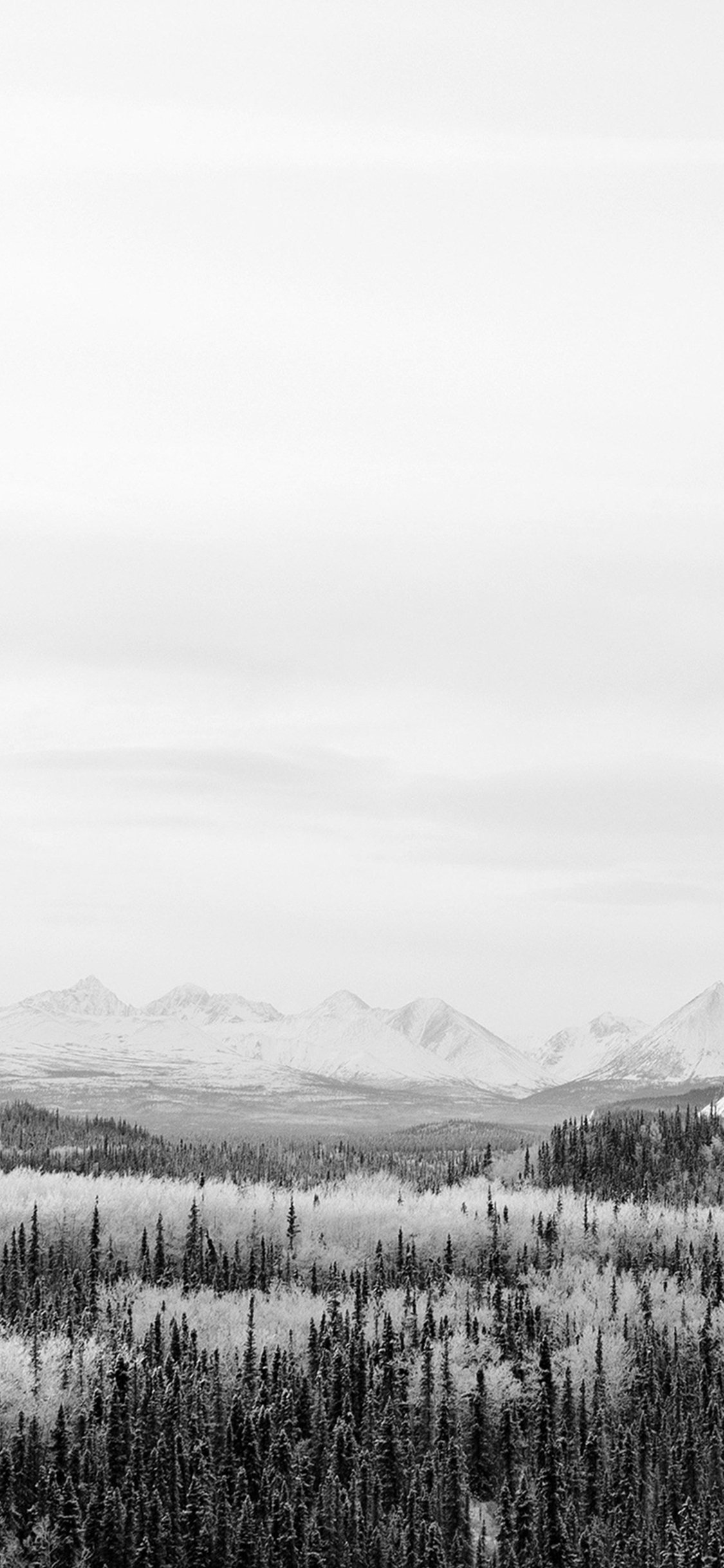 white iphone wallpaper,sky,white,nature,black,photograph