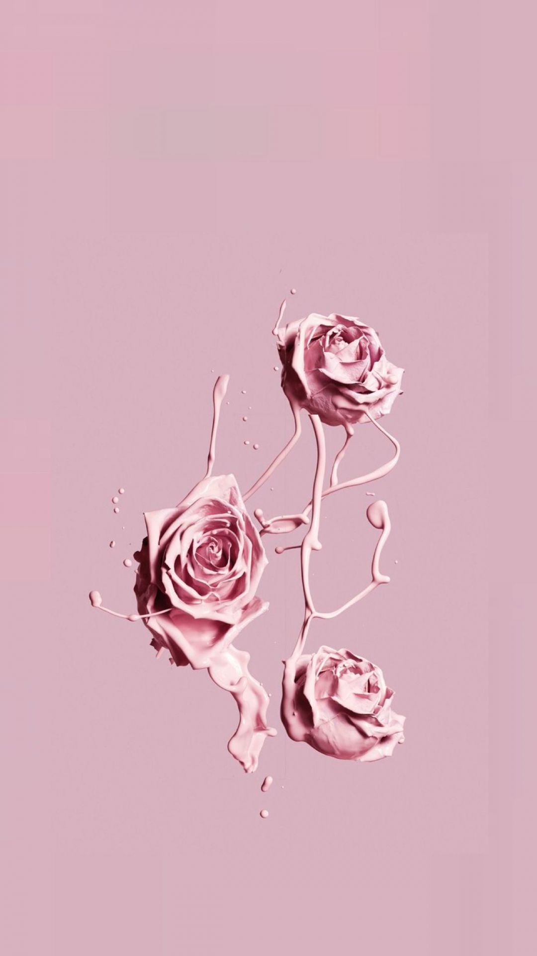 pink iphone wallpaper,pink,garden roses,rose,illustration,flower