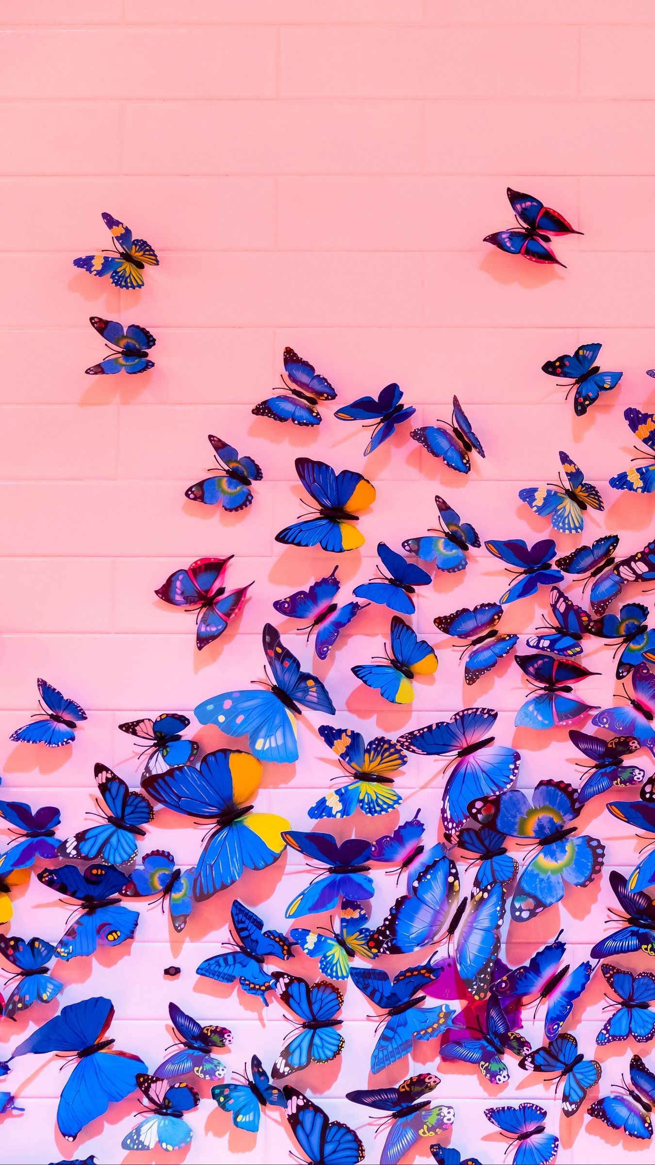 pink iphone wallpaper,blue,butterfly,cobalt blue,purple,moths and butterflies