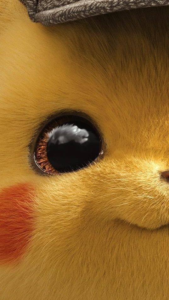 fond d'écran pikachu,fermer,œil,jaune,museau,tête