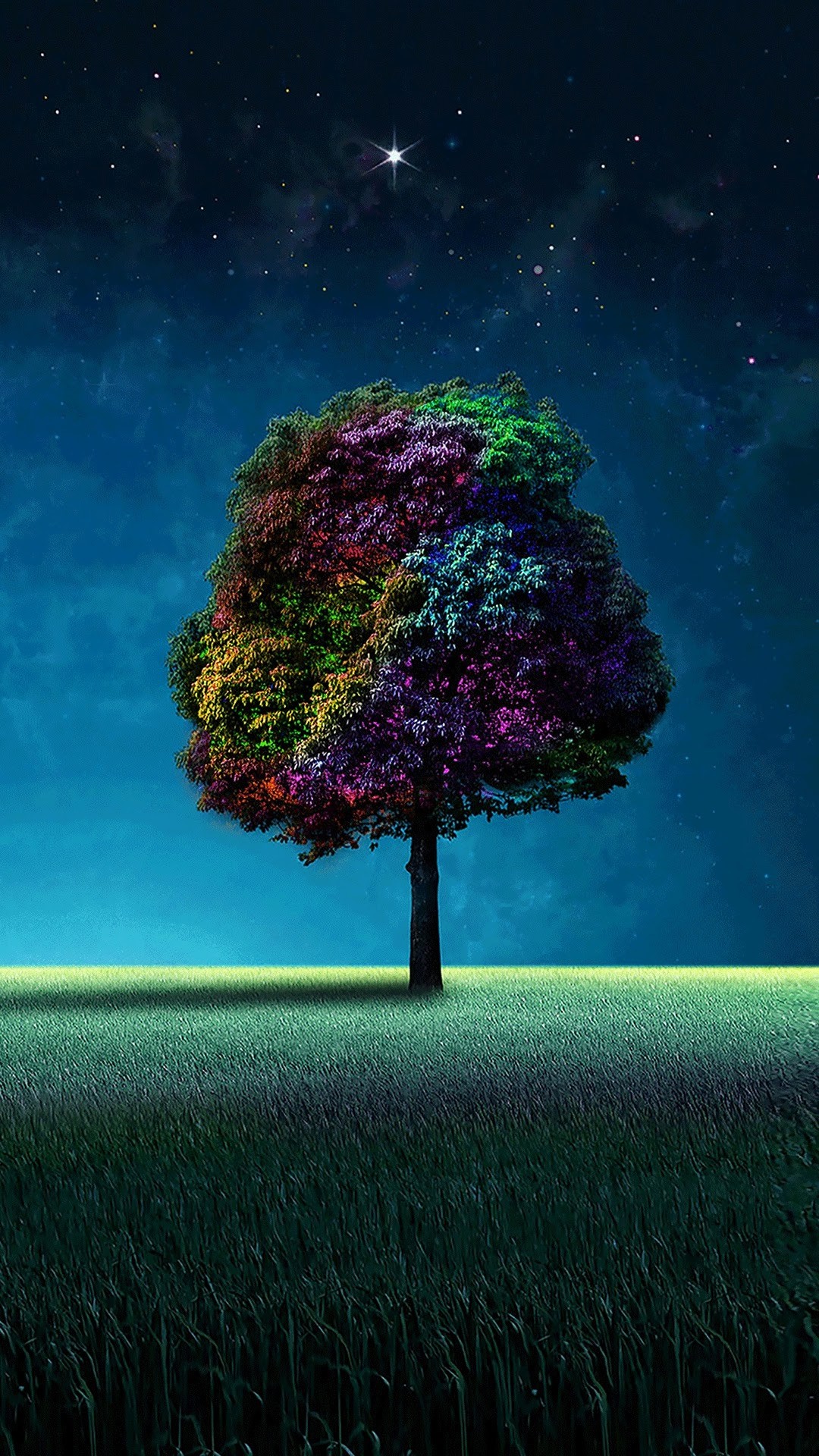 fondo de pantalla de lenovo,paisaje natural,naturaleza,cielo,árbol,aurora