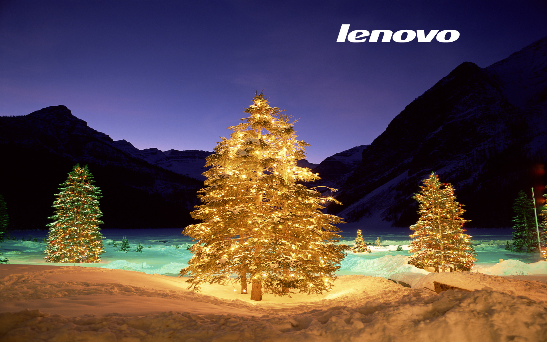 carta da parati lenovo,natura,albero,paesaggio naturale,albero di natale,cielo