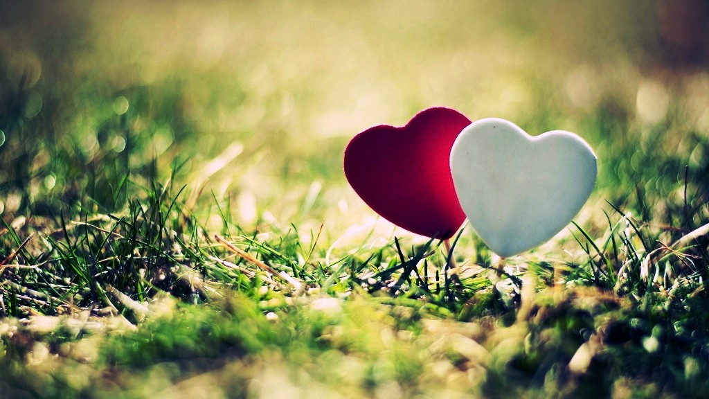 full hd love wallpaper,herz,gras,rot,liebe,natürliche landschaft