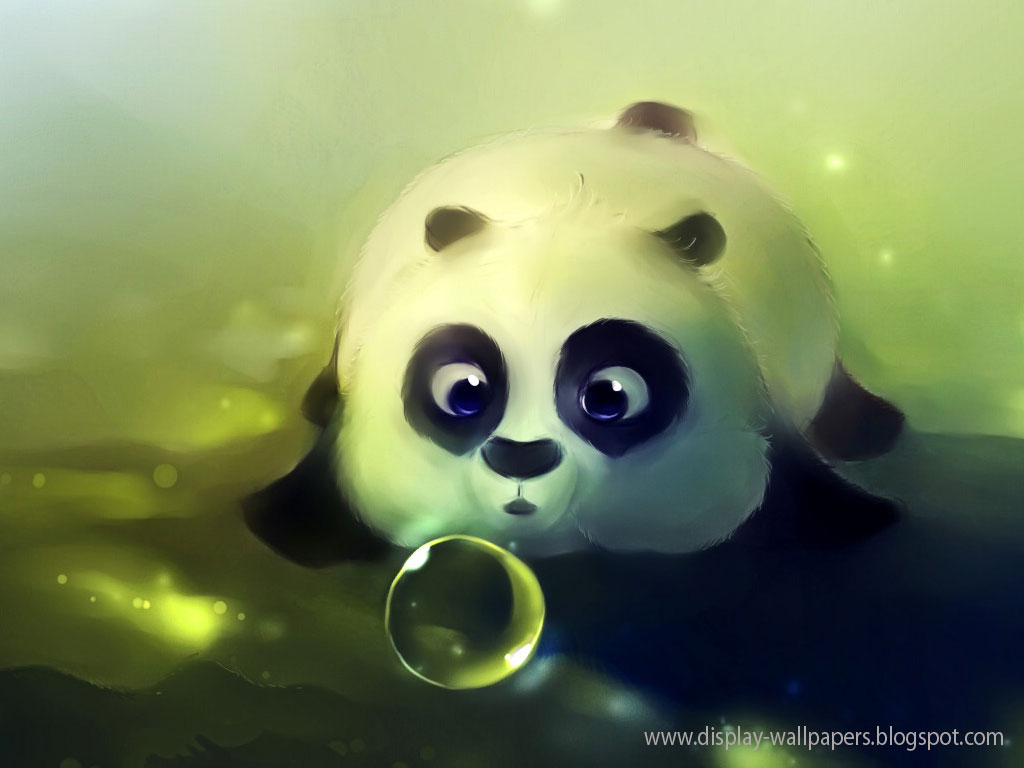 hd wallpapers for laptop,panda,bear,snout,organism,animation