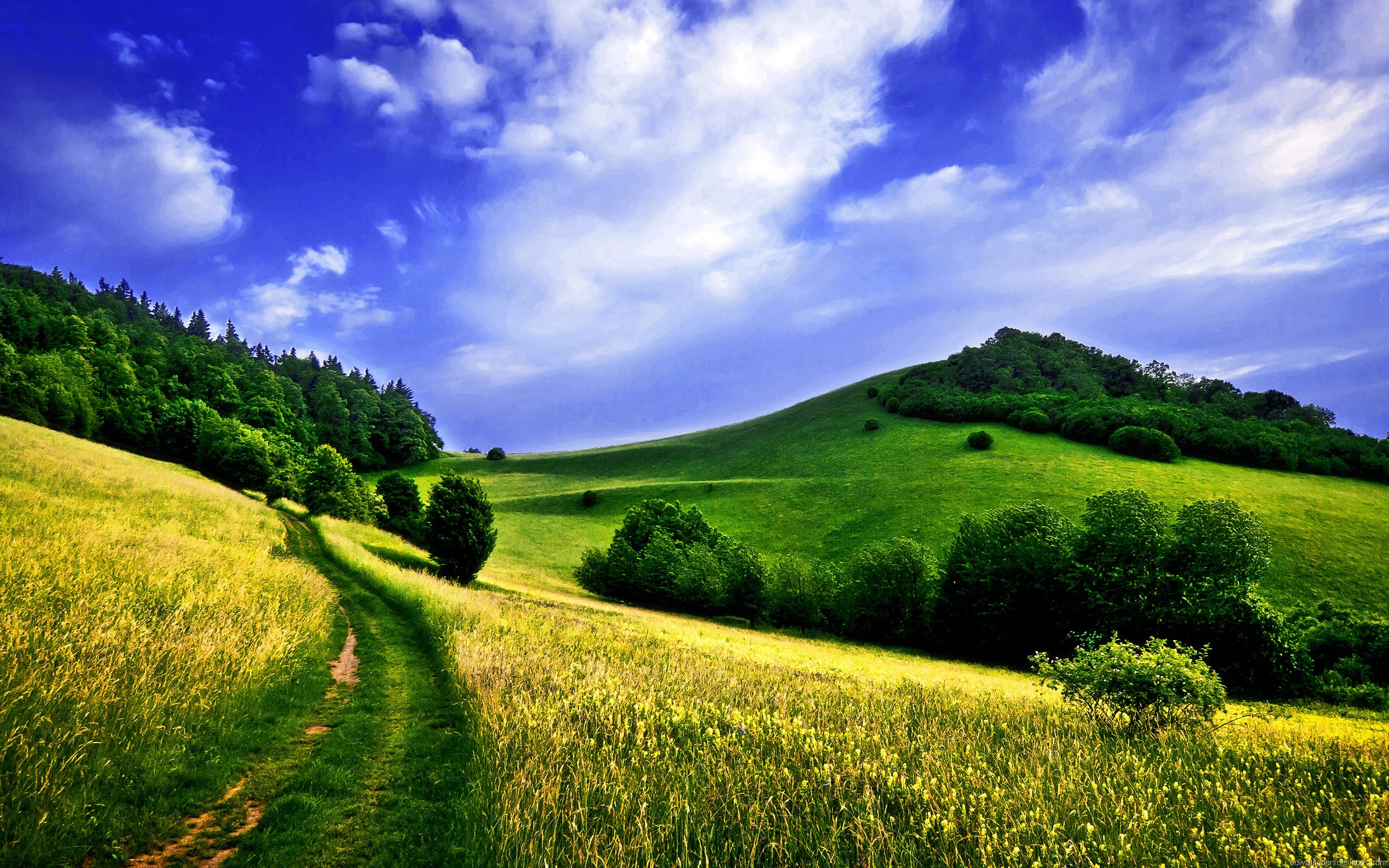 壁紙フルhd,自然の風景,自然,空,緑,草原