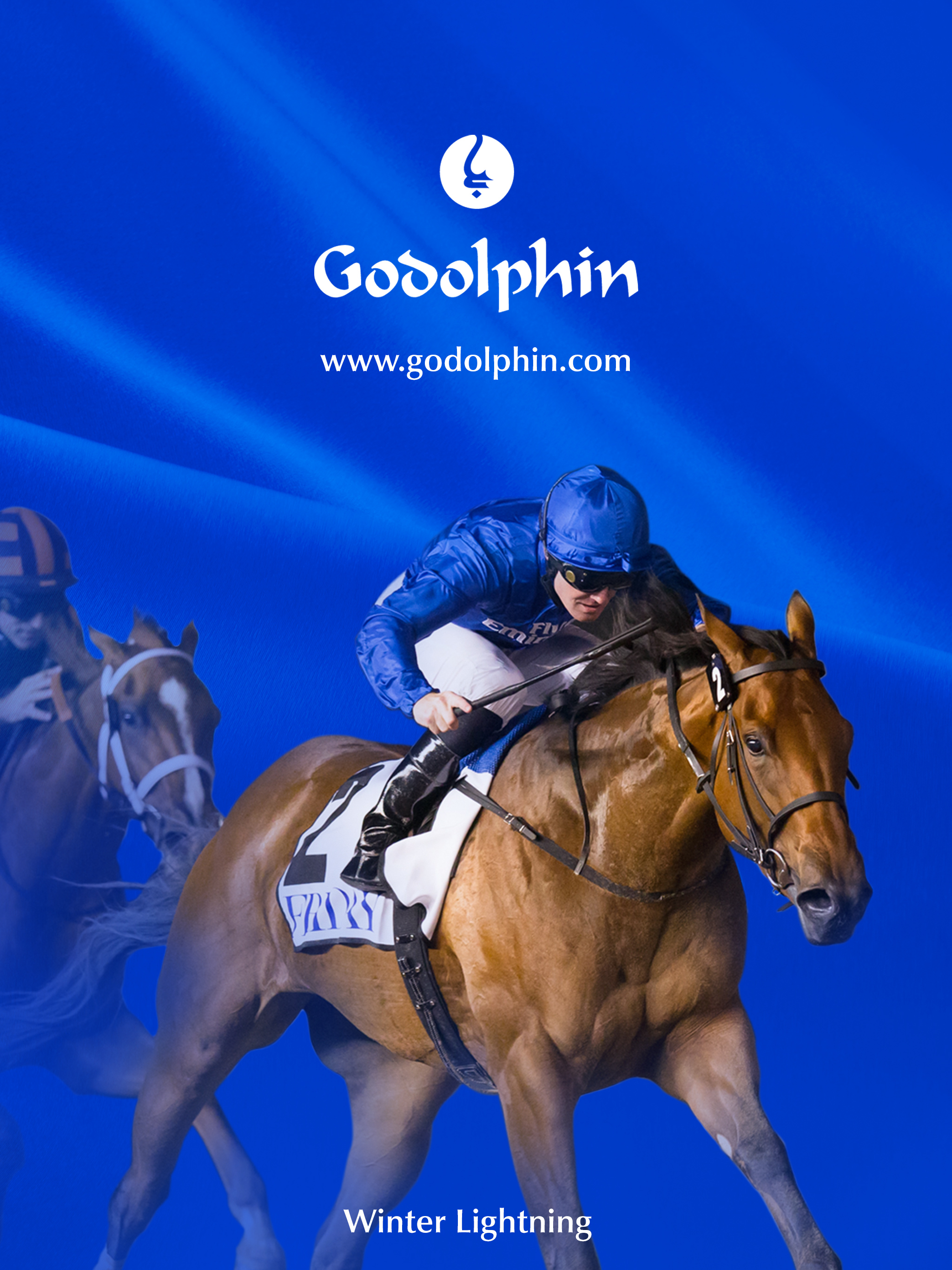 fondo de pantalla de la tableta,caballo,brida,semental,las carreras de caballos