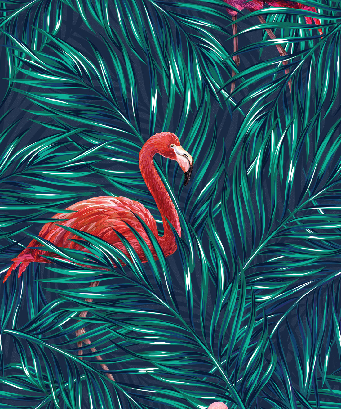 wallpaper photo hd,bird,flamingo,greater flamingo,water bird,feather