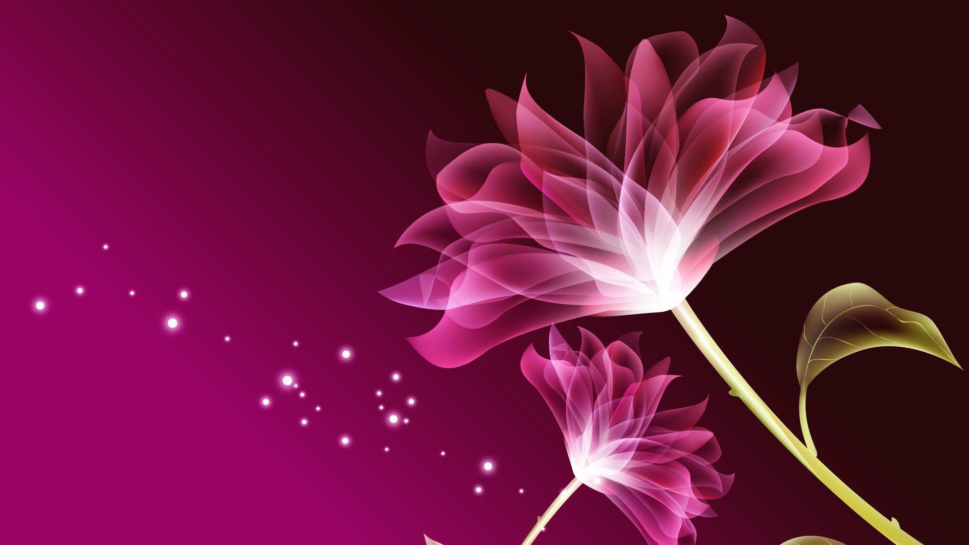 벽지 사진 hd,분홍,꽃잎,꽃,식물,그래픽 디자인