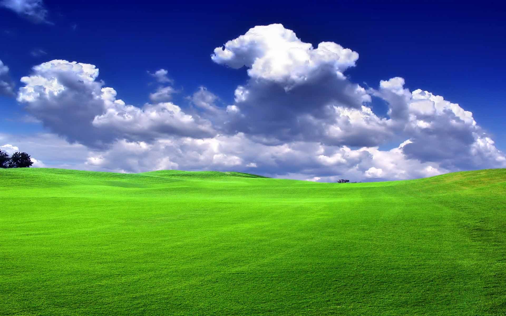 tapete foto hd,wiese,grün,himmel,natürliche landschaft,natur