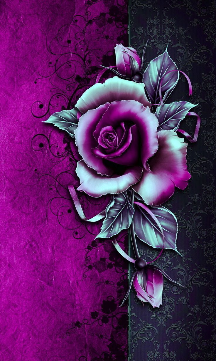 3d wallpaper für mobile,gartenrosen,rosa,blume,lila,rose
