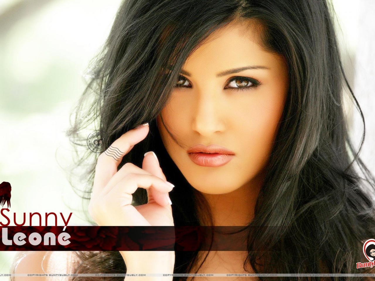 sunny leone fondo de pantalla,cabello,cara,peinado,ceja,cabello negro