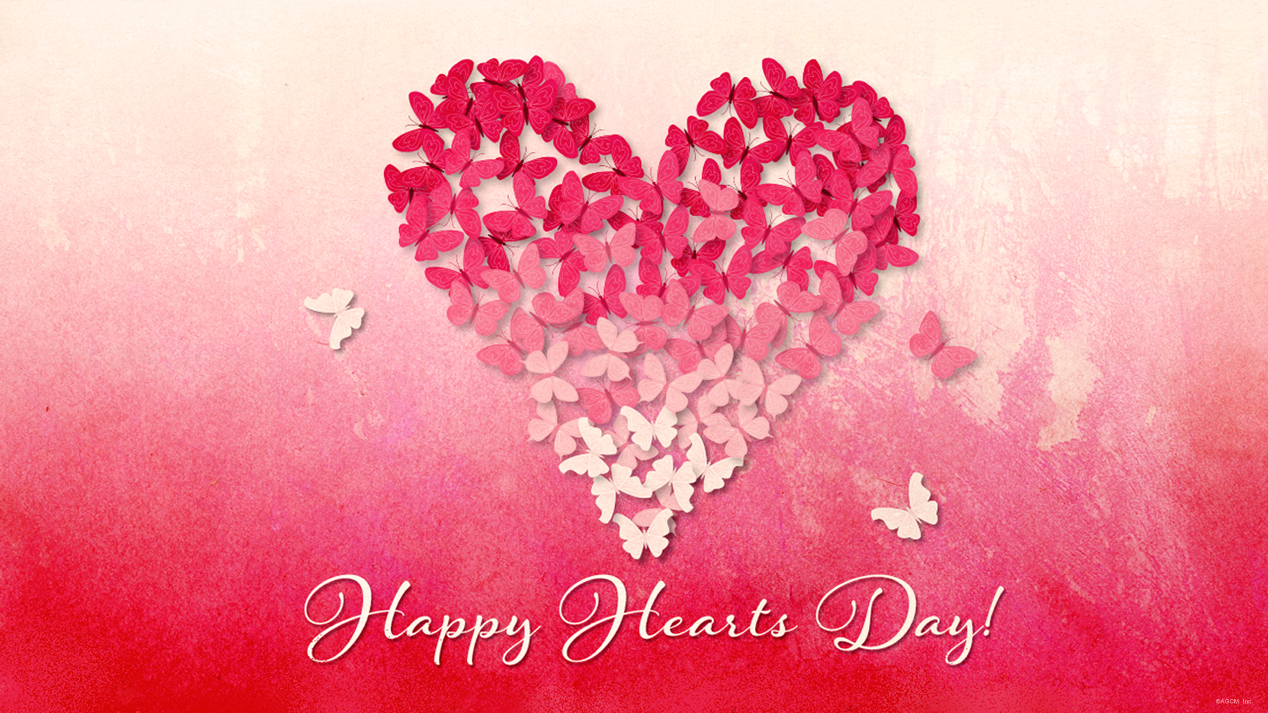 발렌타인 데이 벽지,심장,분홍,사랑,빨간,발렌타인 데이