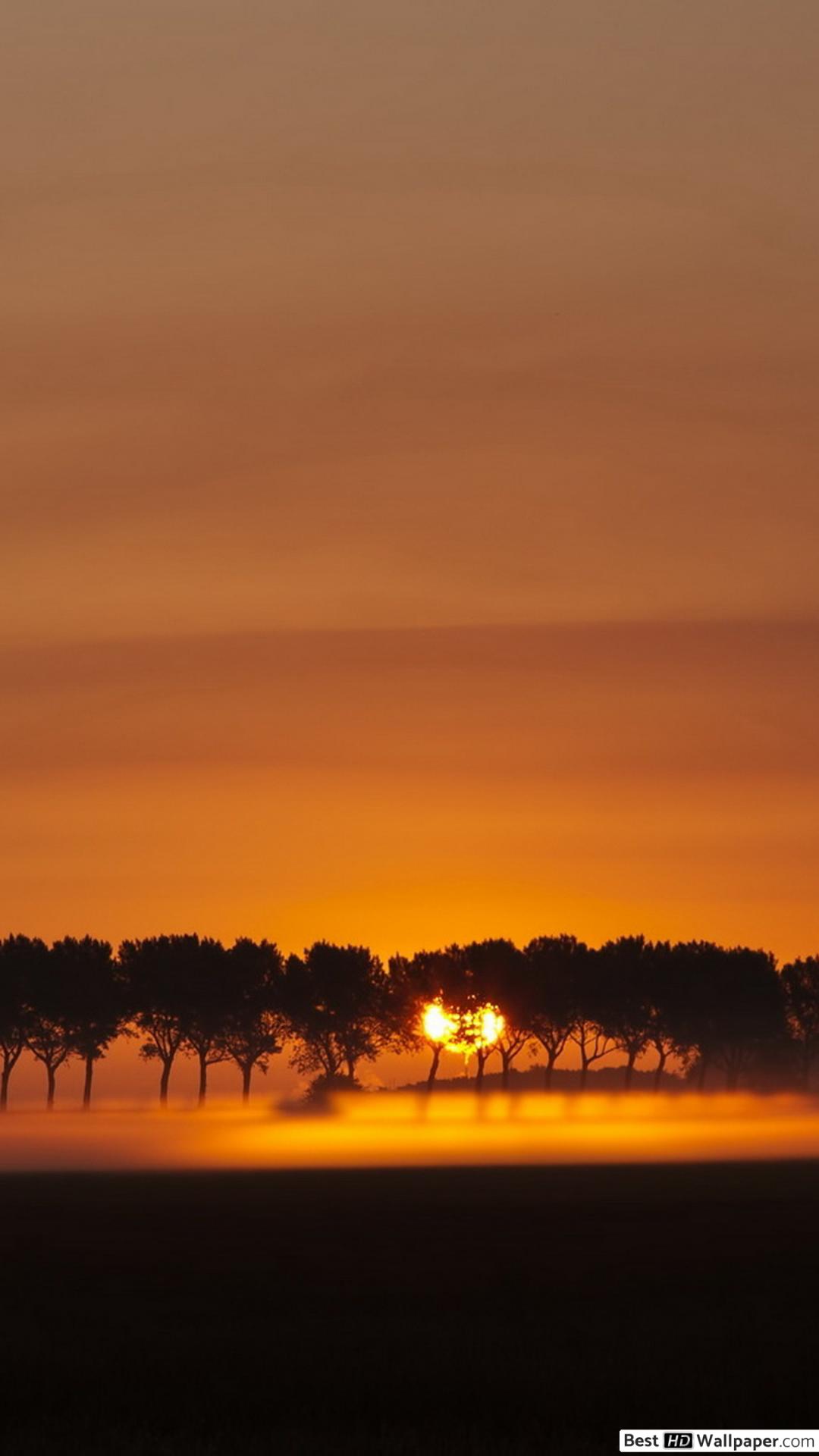 bellissimo download di sfondi,cielo,orizzonte,ultimi bagliori,cielo rosso al mattino,alba