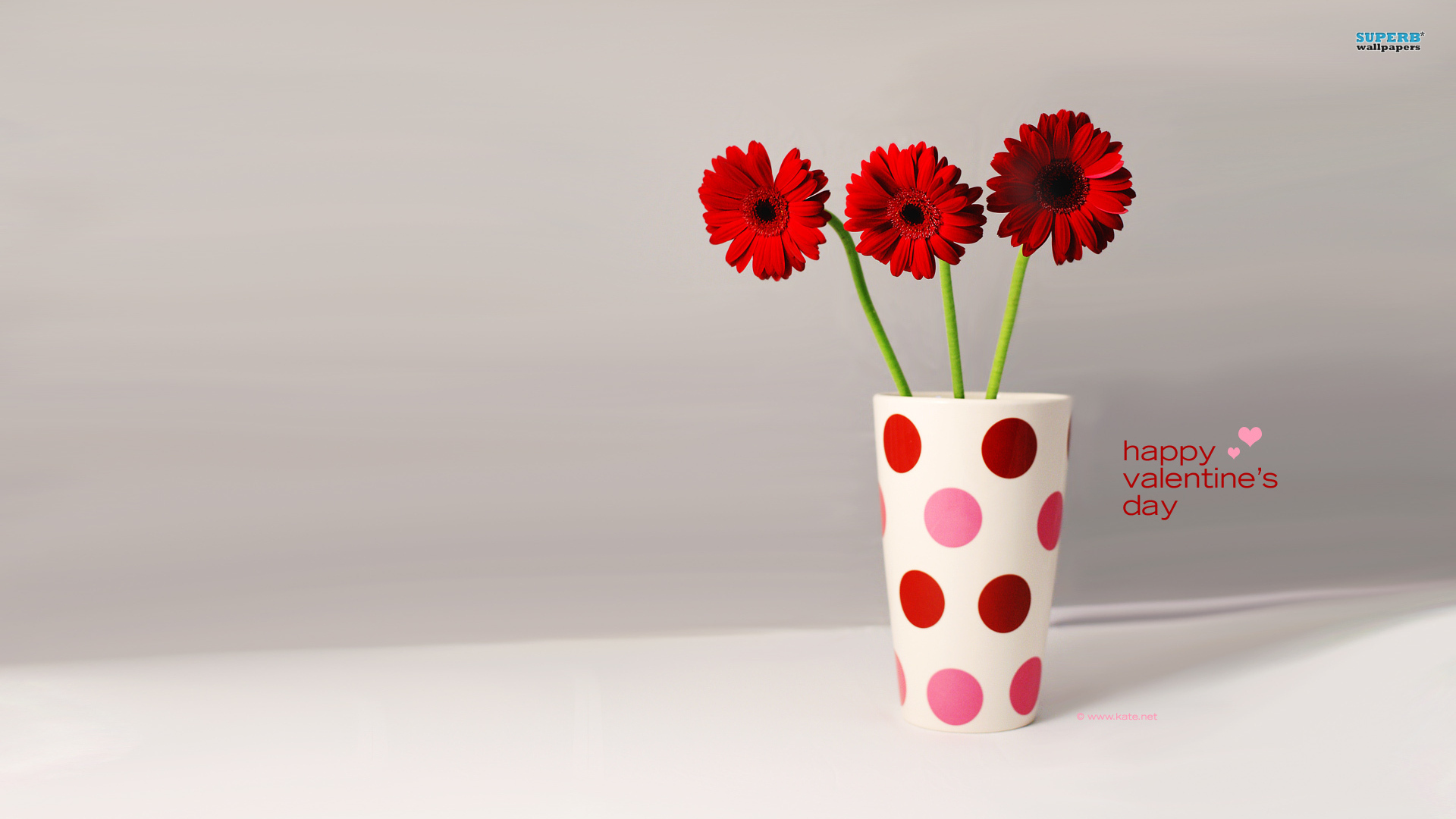 valentines day wallpaper,red,flowerpot,flower,vase,pink