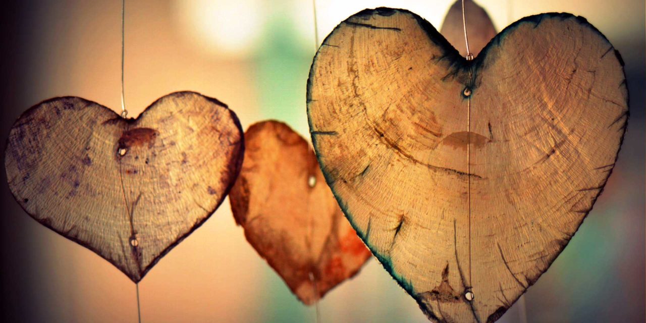 valentines day wallpaper,heart,love,leaf,still life photography,organ