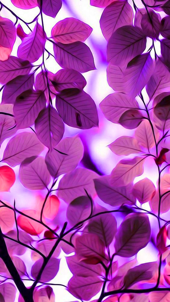 beautiful wallpaper download,purple,violet,lilac,pink,pattern