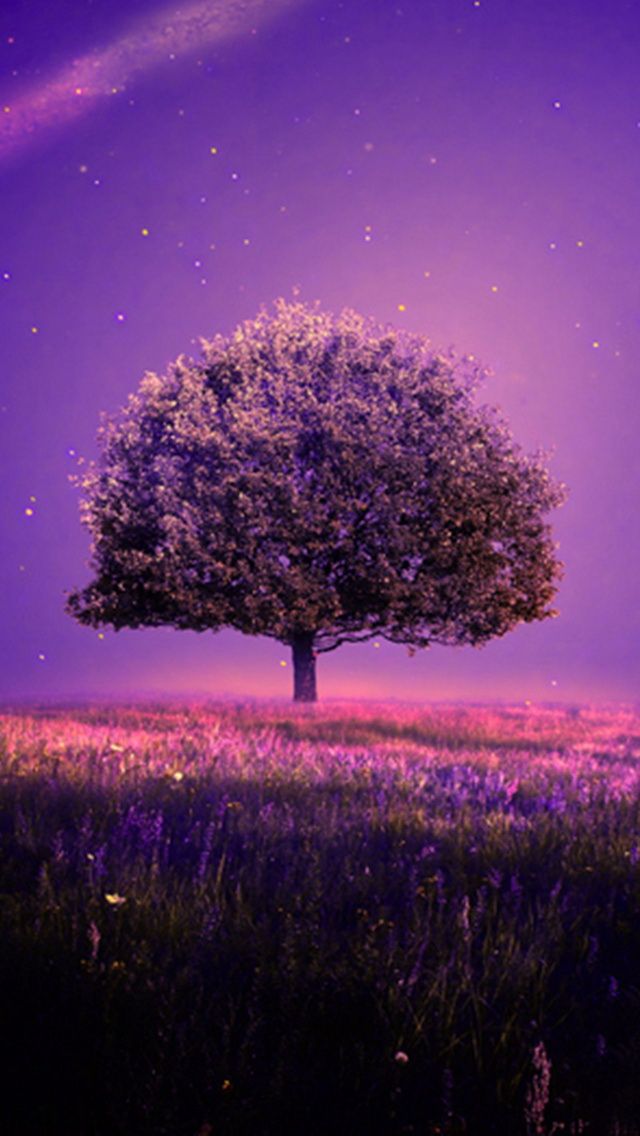 beautiful wallpaper download,sky,lavender,purple,nature,natural landscape