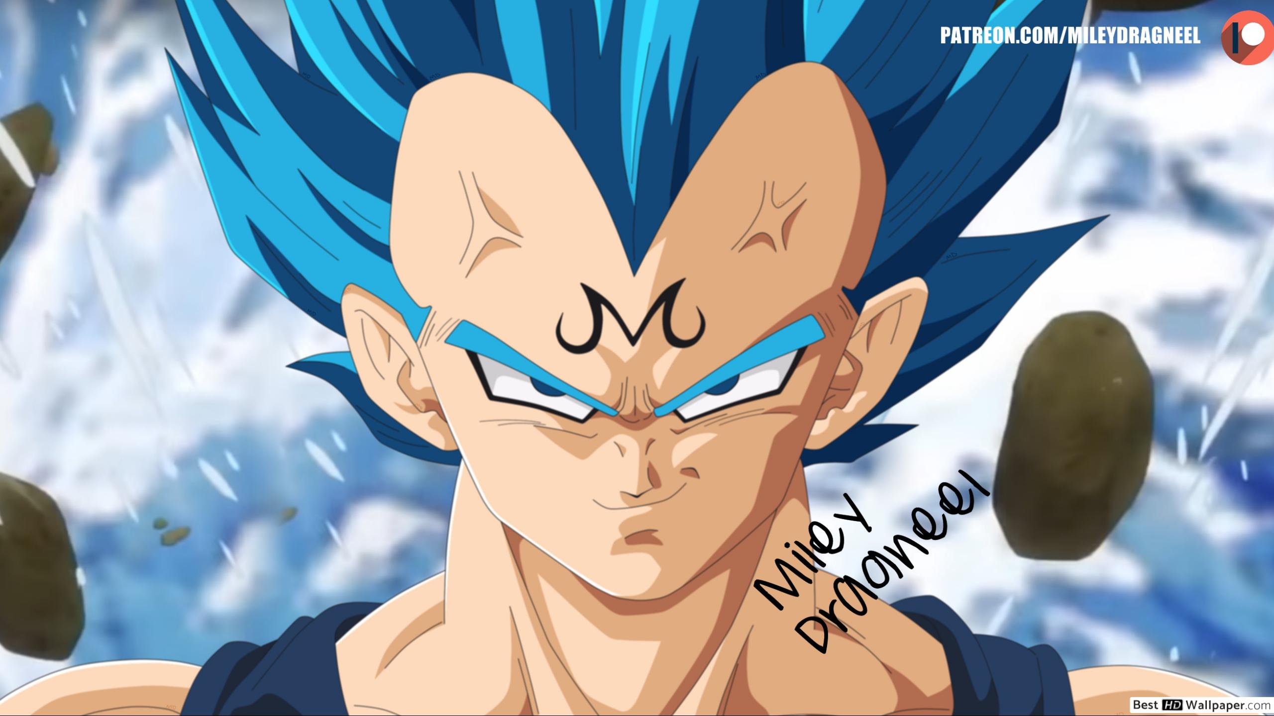 vegeta wallpaper,anime,cartoon,dragon ball,fictional character