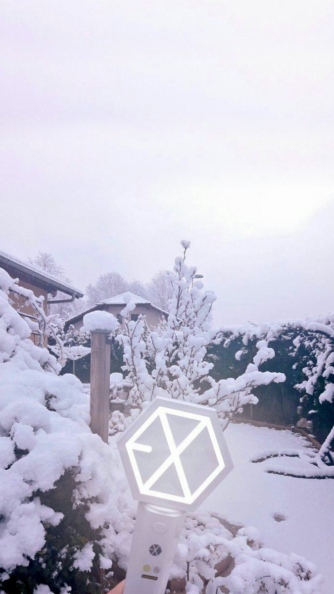 엑소 벽지,눈,겨울,동결,하늘,나무