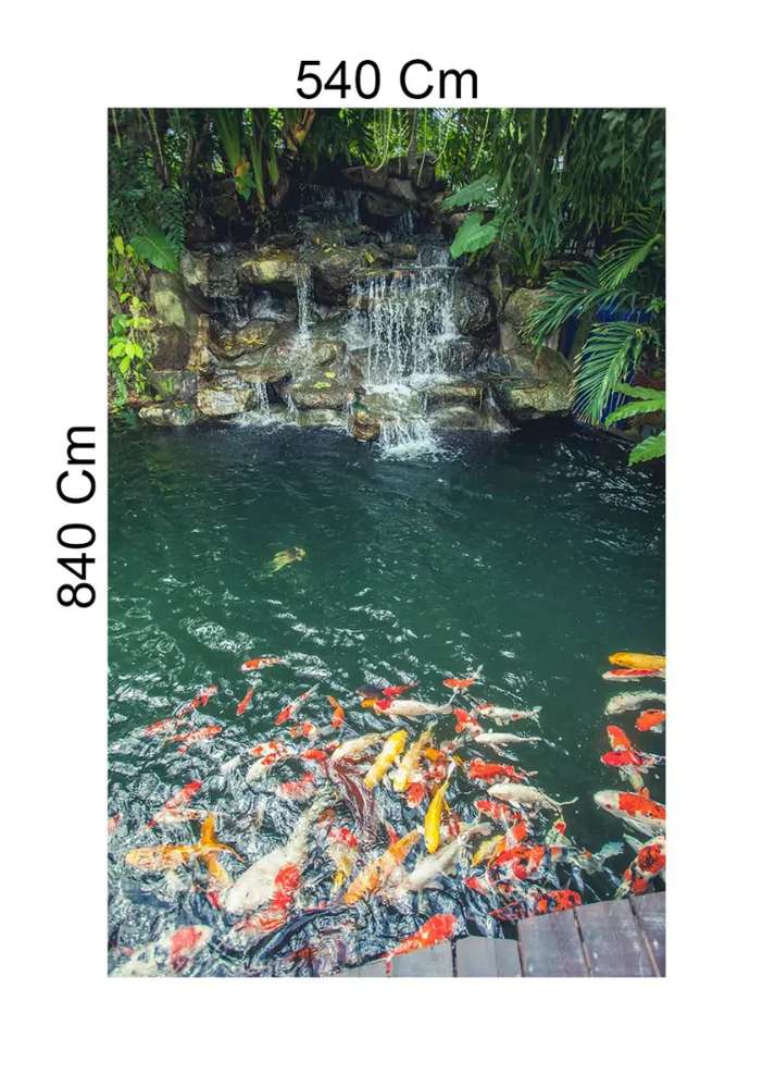 fondo de pantalla 3 dimensi,naturaleza,koi,estanque,paisaje natural,estanque de peces