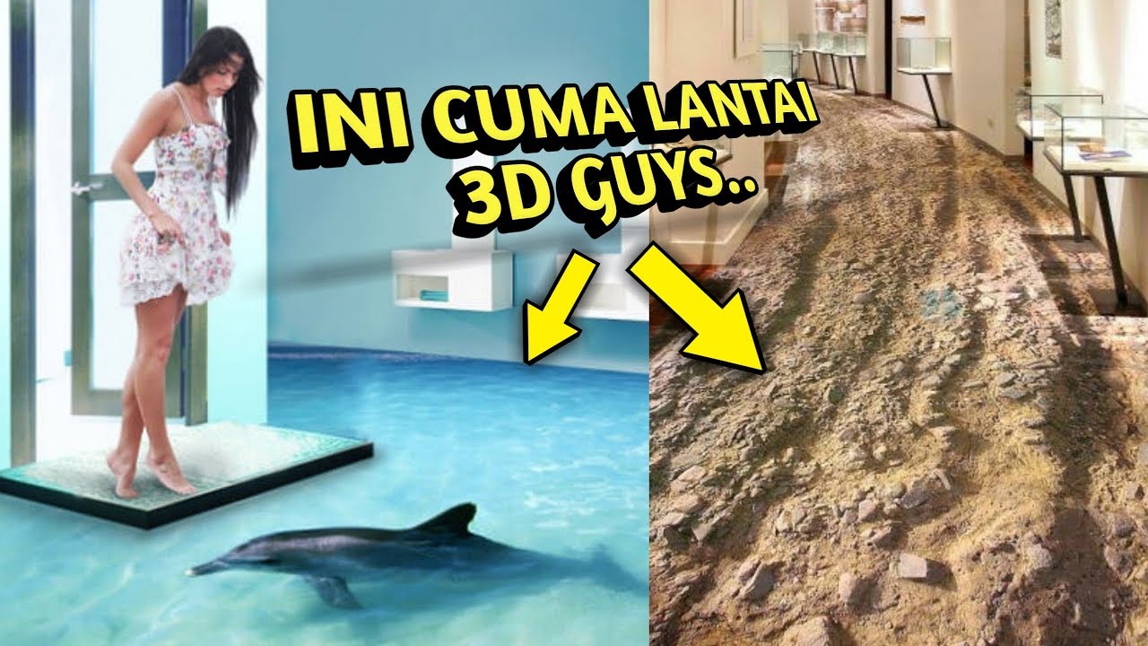 fondo de pantalla 3 dimensi,mamífero marino,delfín,delfín nariz de botella común,suelo,ocio