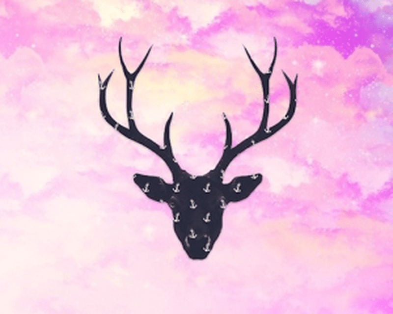 hipster wallpaper,pink,deer,antler,horn,elk