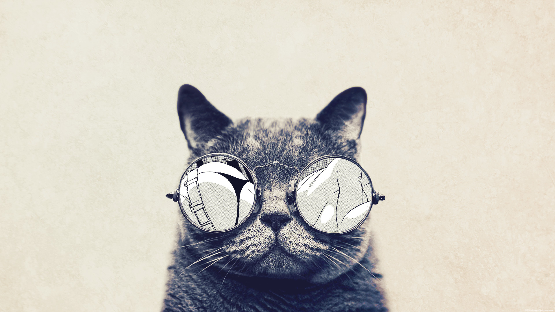 hipster wallpaper,glasses,cat,whiskers,snout,felidae