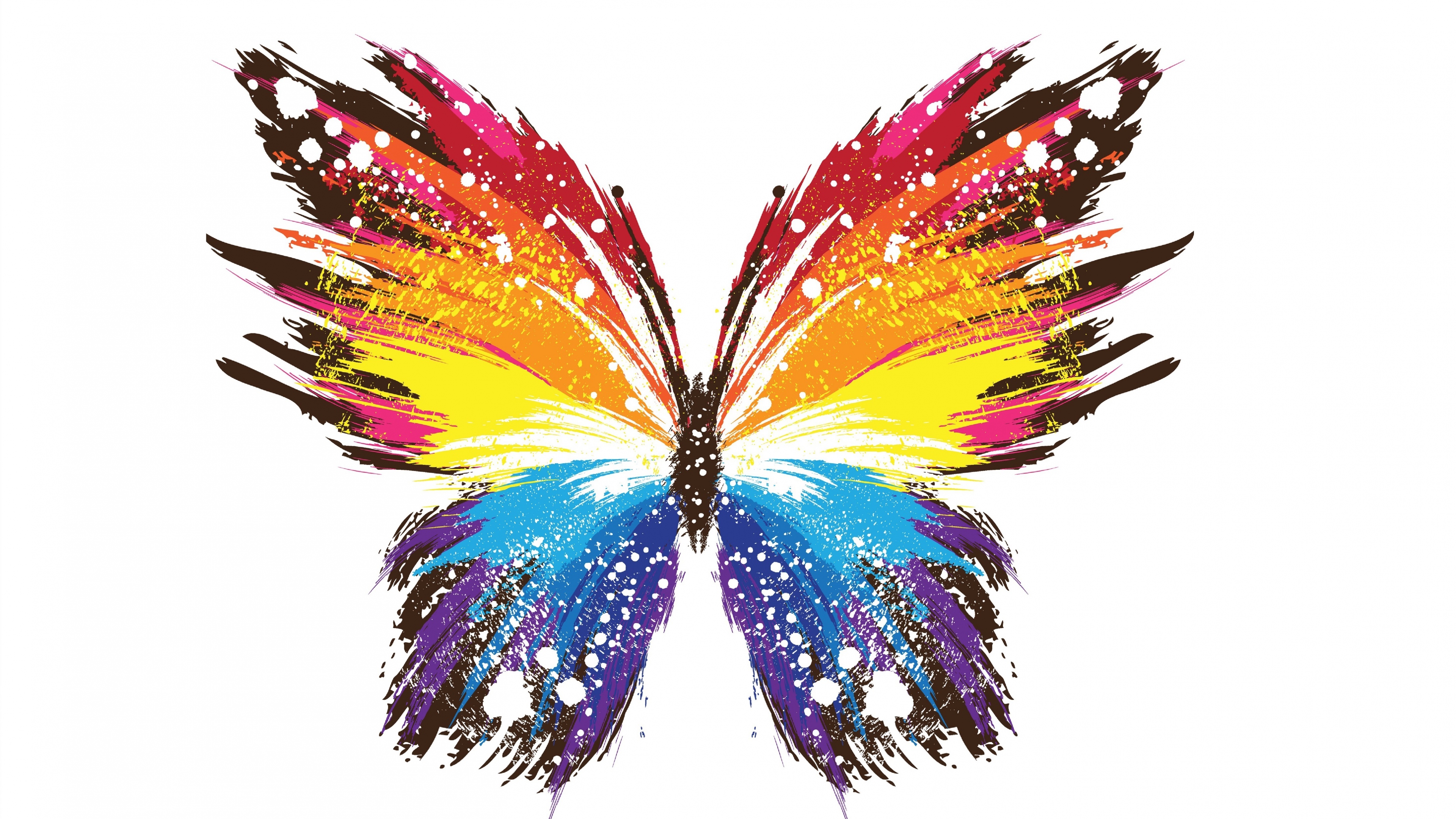 fond d'écran abstrait hd,plume,papillon,aile,papillons et papillons,insecte