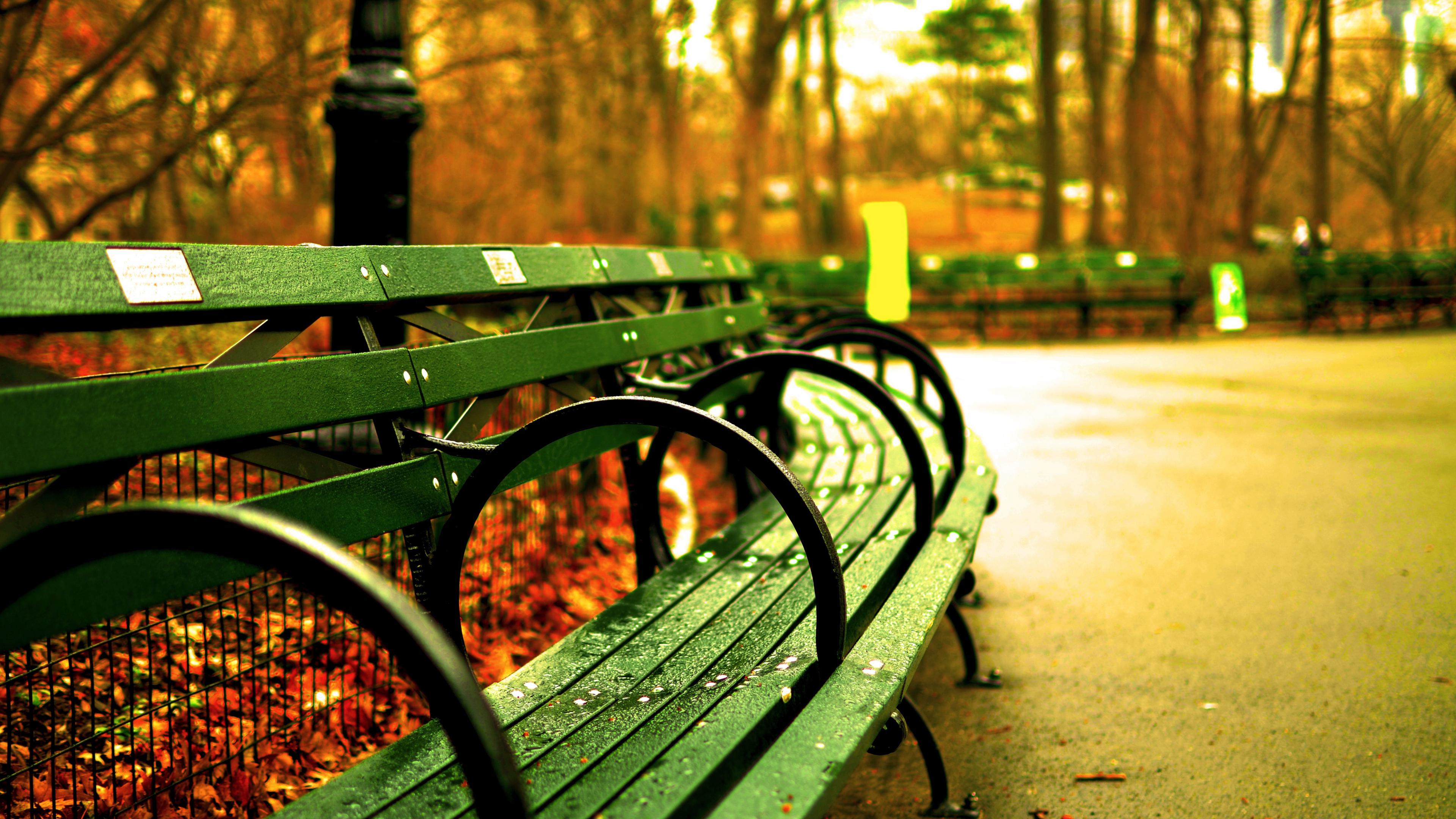 ultra hd wallpapers,green,leaf,bench,light,tree