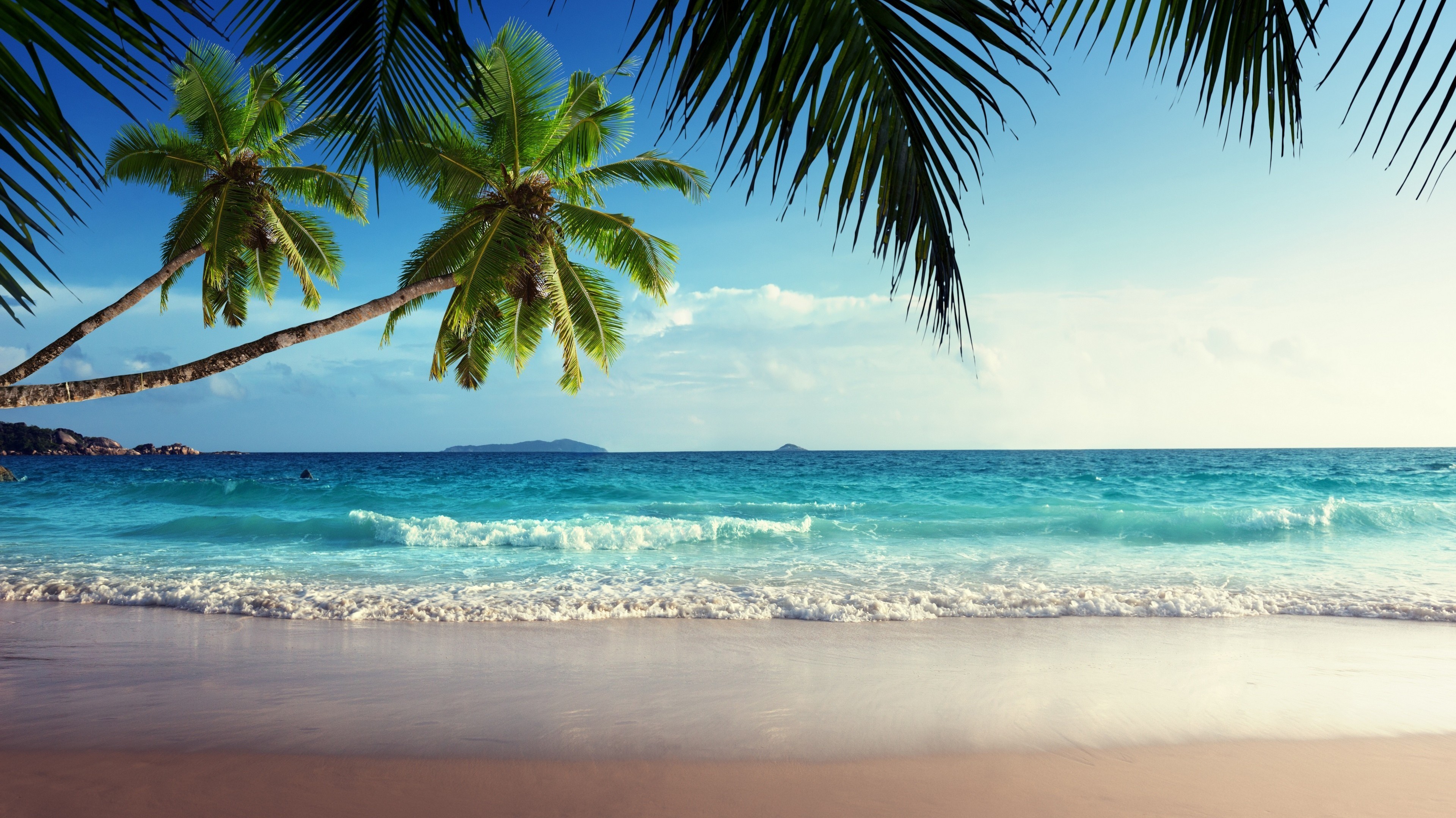 ultra hd wallpapers,body of water,tree,nature,beach,tropics