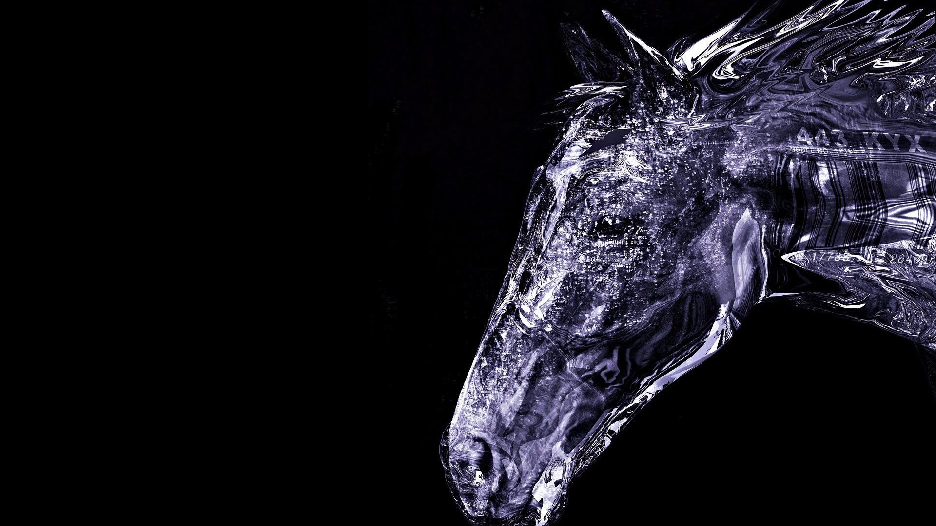 hd wallpapers for pc,black,black and white,horse,snout,organism