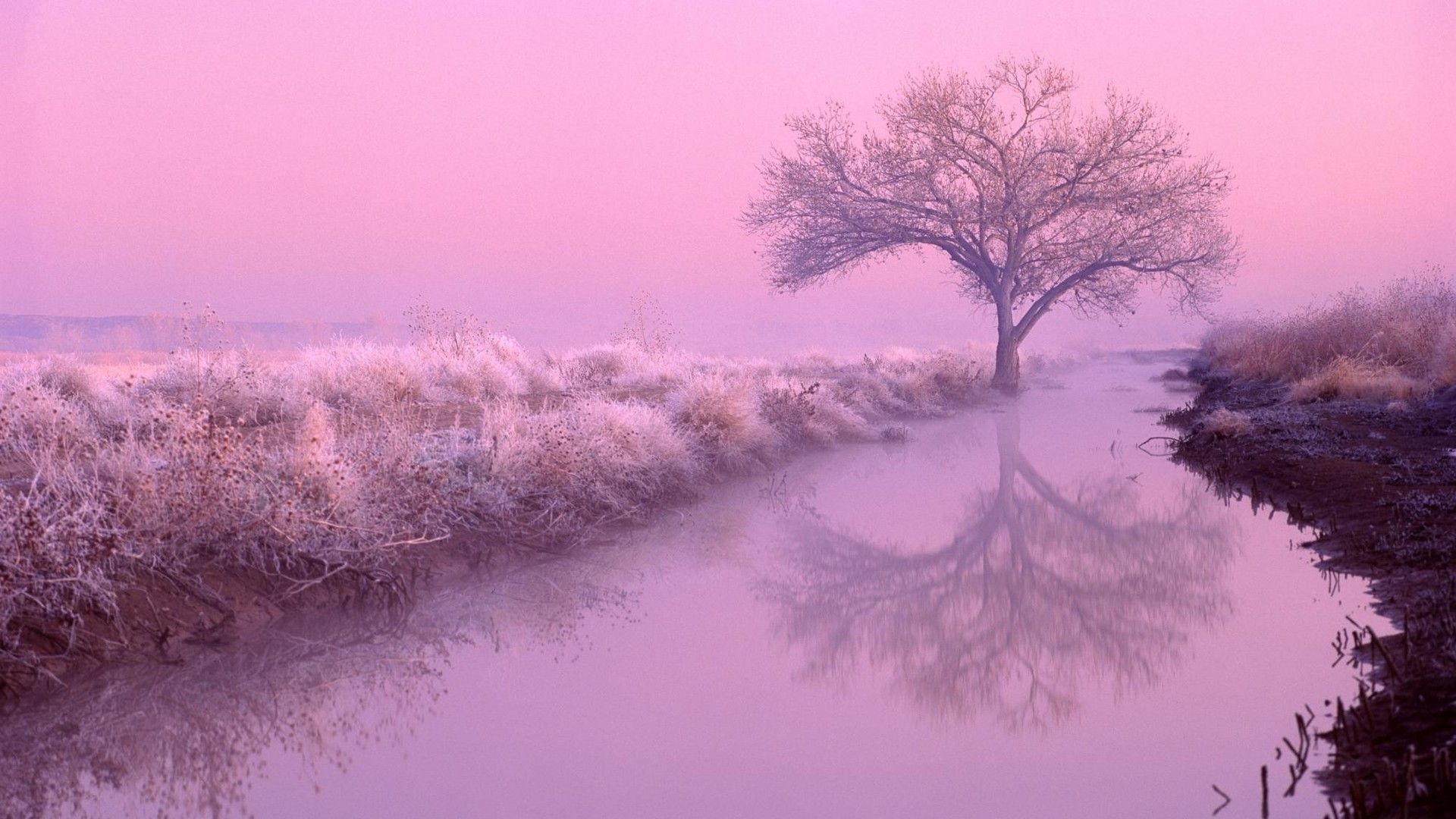 hd wallpaper für pc,natürliche landschaft,natur,himmel,baum,einfrieren