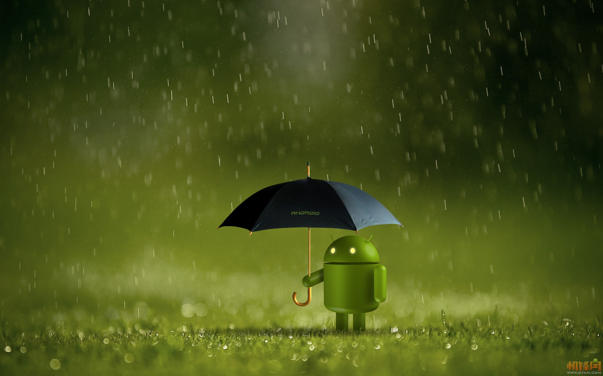 aplikasi wallpaper,verde,naturaleza,césped,lluvia,atmósfera