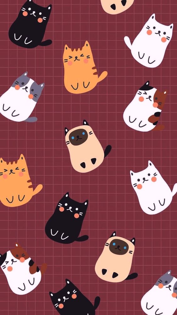 wallpaper lucu,comfort food,pattern,beige,cat,side dish