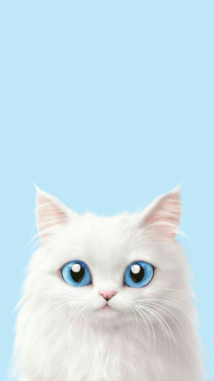wallpaper lucu,cat,small to medium sized cats,felidae,whiskers,ragdoll