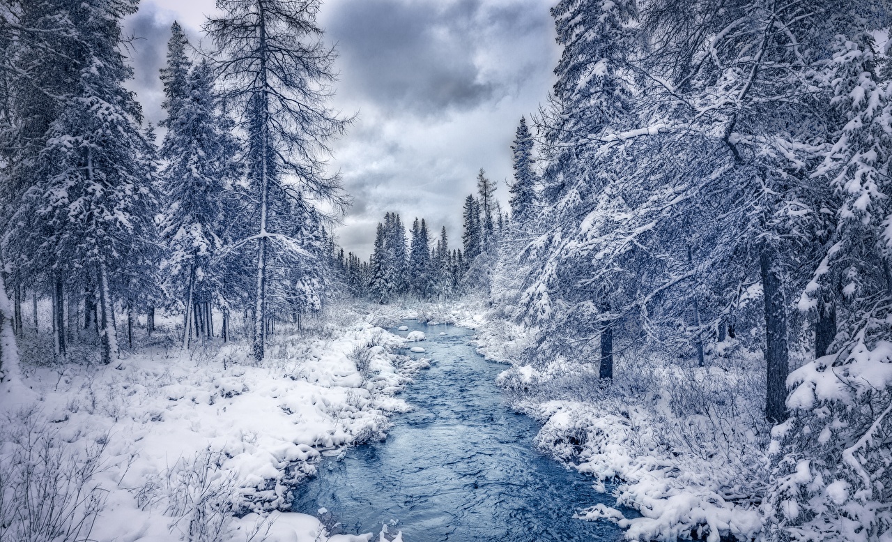 壁紙カナダ,冬,雪,自然の風景,自然,空