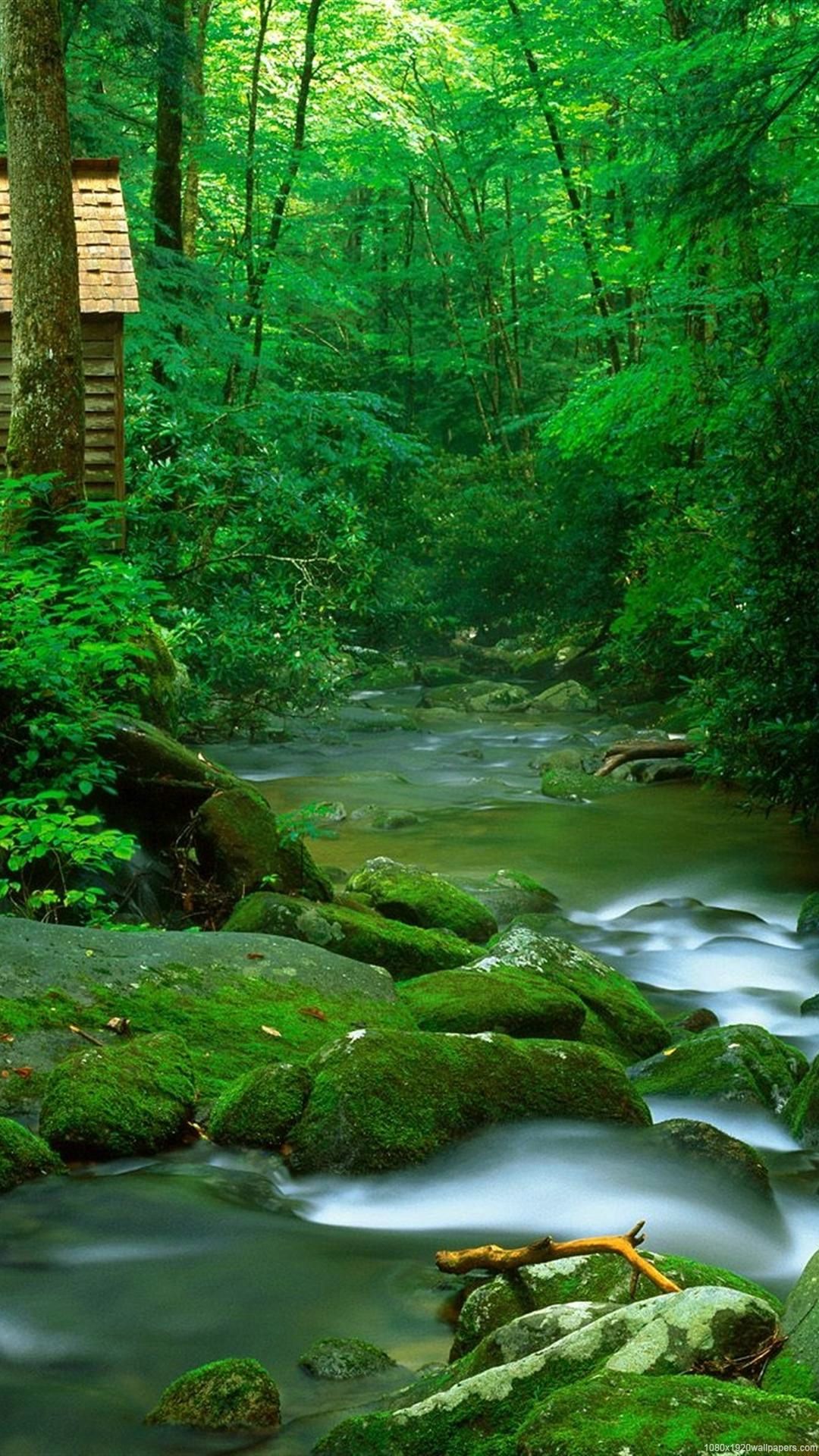 壁紙画像ダウンロード,自然の風景,自然,水域,水路,緑