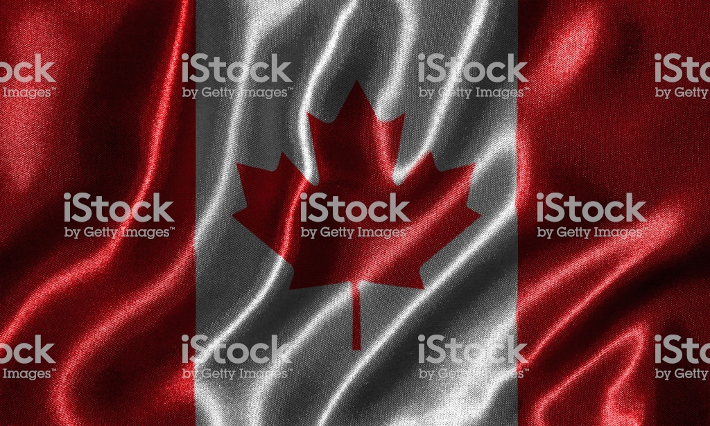 배경 캐나다,빨간,확대,깃발,직물,저지