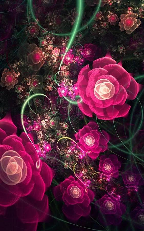 라이브 사진 벽지,분홍,정원 장미,꽃,장미,빨간