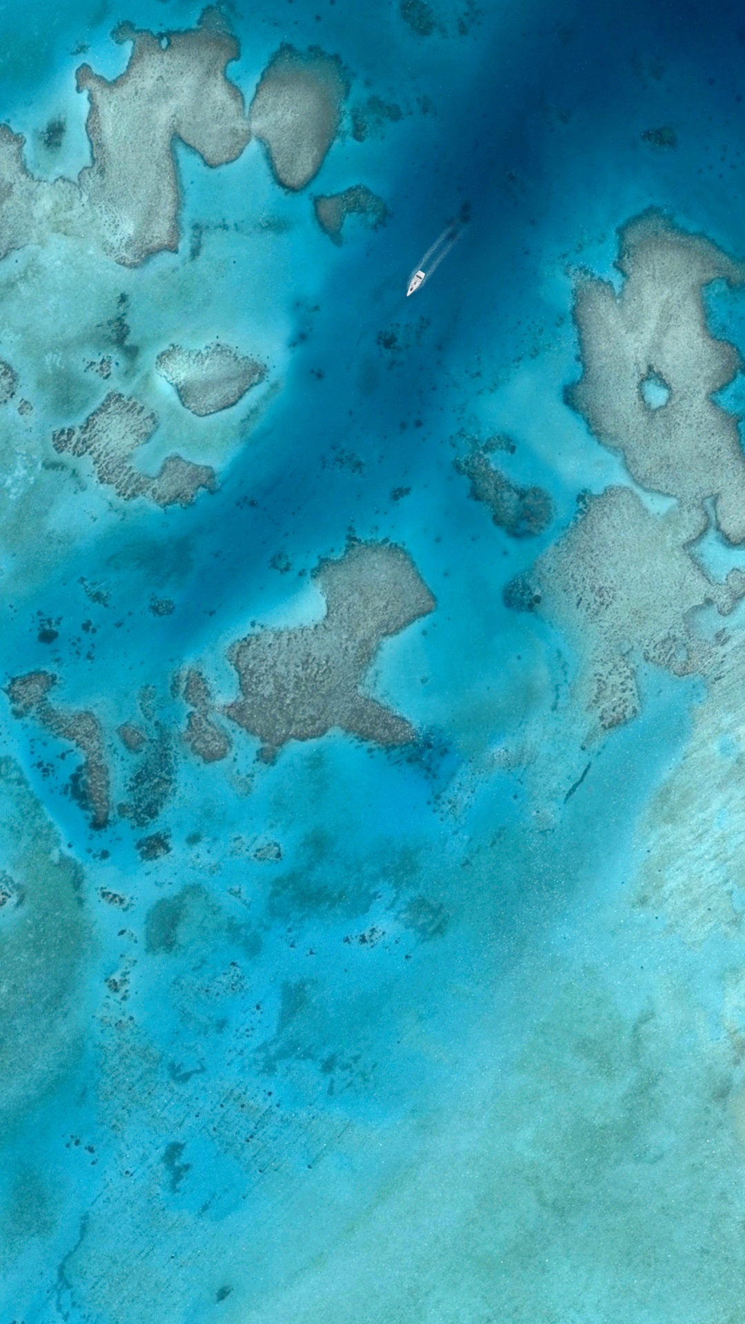 foto live wallpaper,blu,acqua,turchese,turchese,alzavola