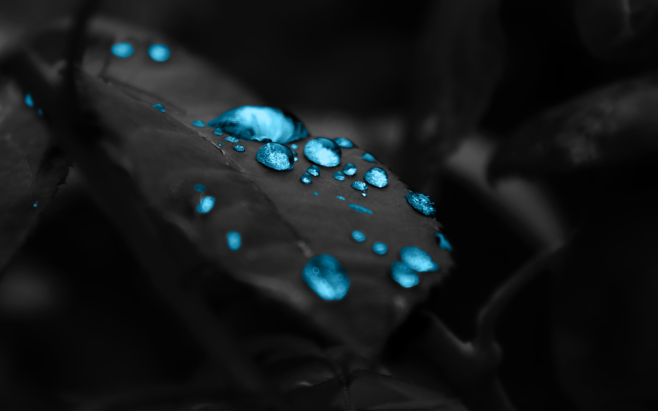 fond d'écran en direct télécharger,bleu,l'eau,turquoise,macro photographie,fermer