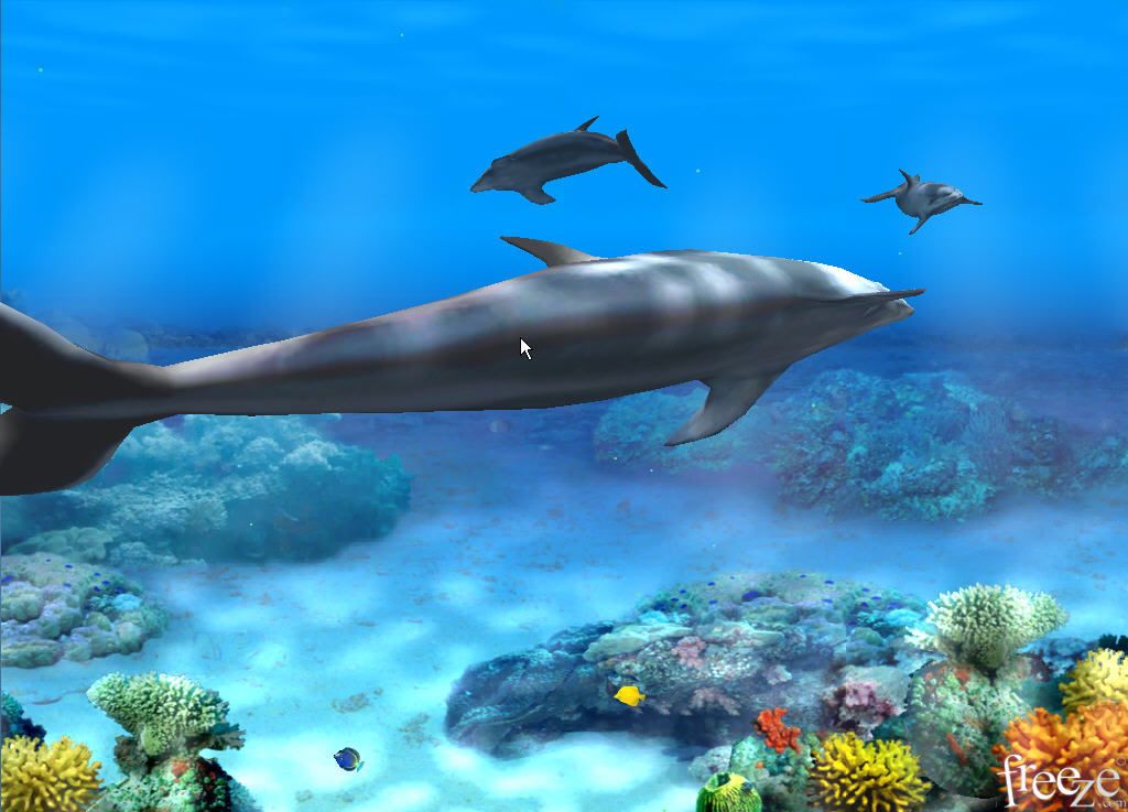 3d fondos de pantalla en vivo hd,biología marina,delfín,mamífero marino,submarino,pez