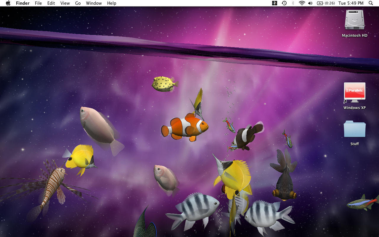 sfondi animati 3d hd,viola,immagine dello schermo,pianta,spazio,pesce